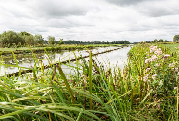 RPS-artikel-natuurvriendelijk-oever