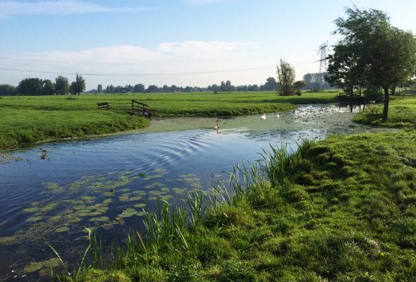 RPS-nieuws-waterschappen-raamcontract