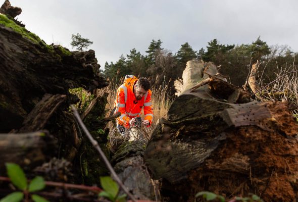 RPS-artikel-natuurbrug-laarderhoogte-ecologie-3152-uitgelicht